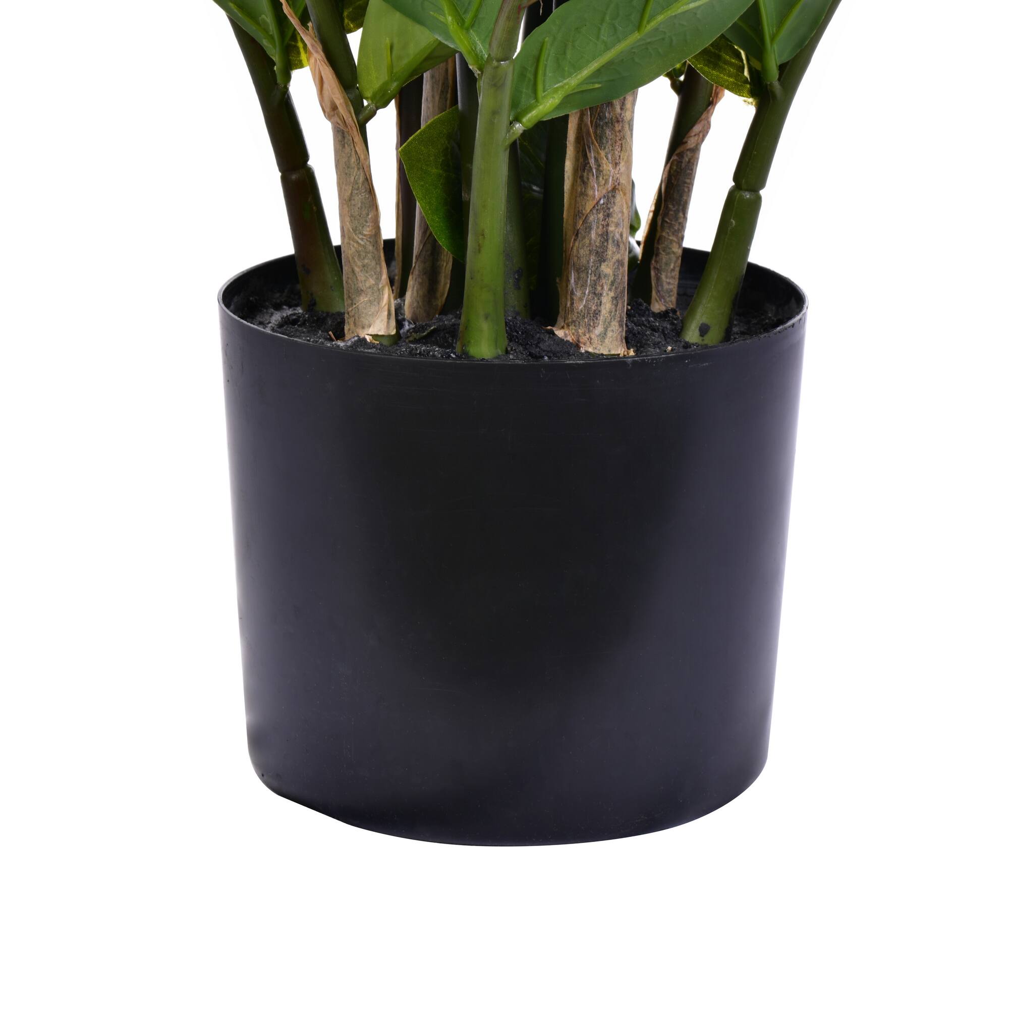 2ft. Potted Green Zamifolia Bush